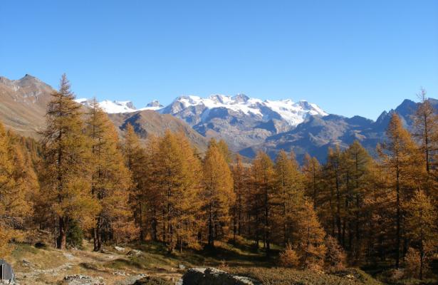 abc-vacanze it apertura-impianti-sciistici-del-monterosa-ski-a-champoluc-e-frachey-estate-2021 020