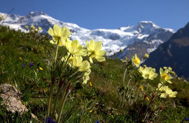 abc-vacanze en summer-2022-in-monterosa-ski-lifts-open-in-val-d-ayas 036