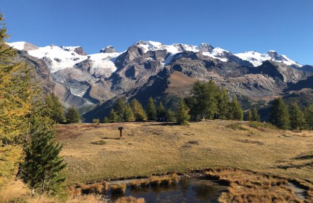 abc-vacanze it champoluc-3-valli-sci-ai-piedi-del-monterosa-ski 017