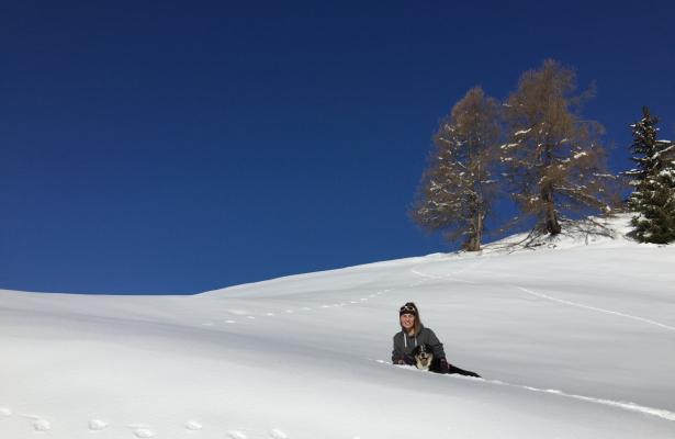 Persona e cane nella neve sotto un cielo blu.