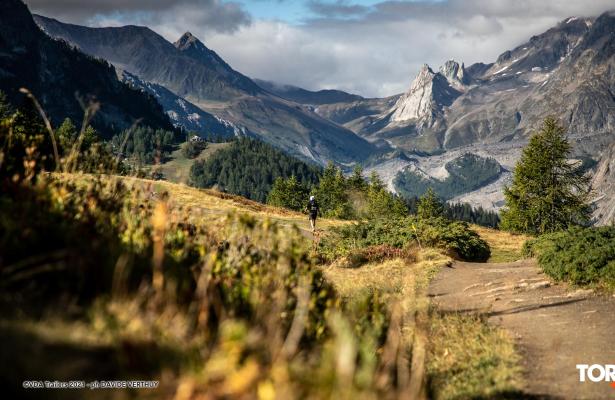 Paesaggio montano con sentiero, alberi e cielo nuvoloso.