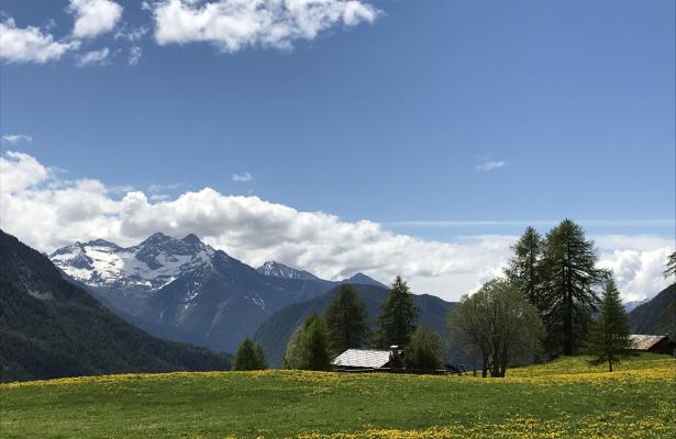 abc-vacanze it champoluc-3-valli-sci-ai-piedi-del-monterosa-ski 031